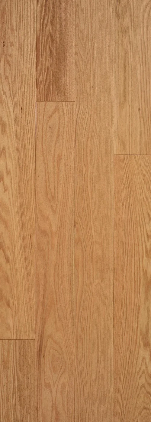 Engineering Red Oak - Natural Click