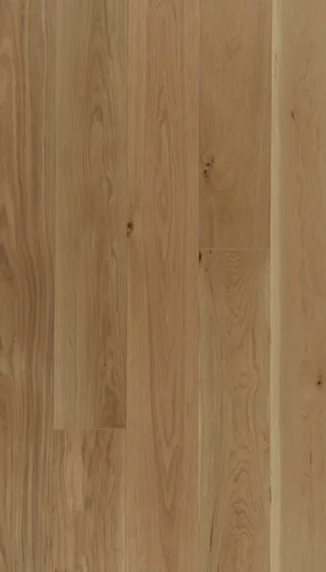 Engineering white brushed oak ABC - 6 x 3/4 Honey Wheat
