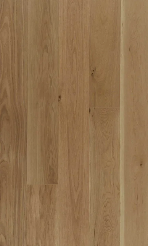 Engineering white brushed oak ABC - 6 x 3/4 Honey Wheat